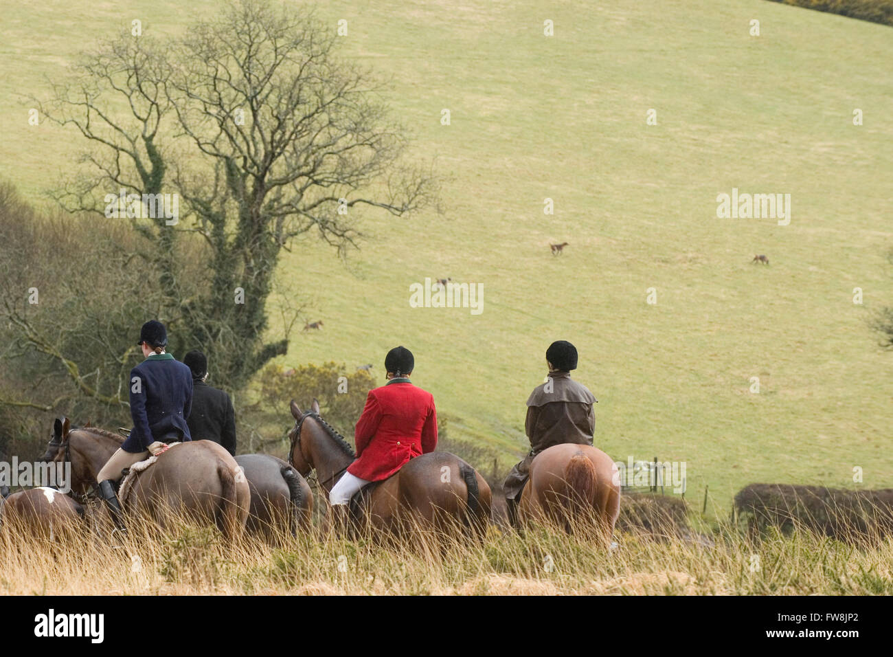 il cacciatore e i cacciatori che osservano i hounds seguono un profumo Foto Stock