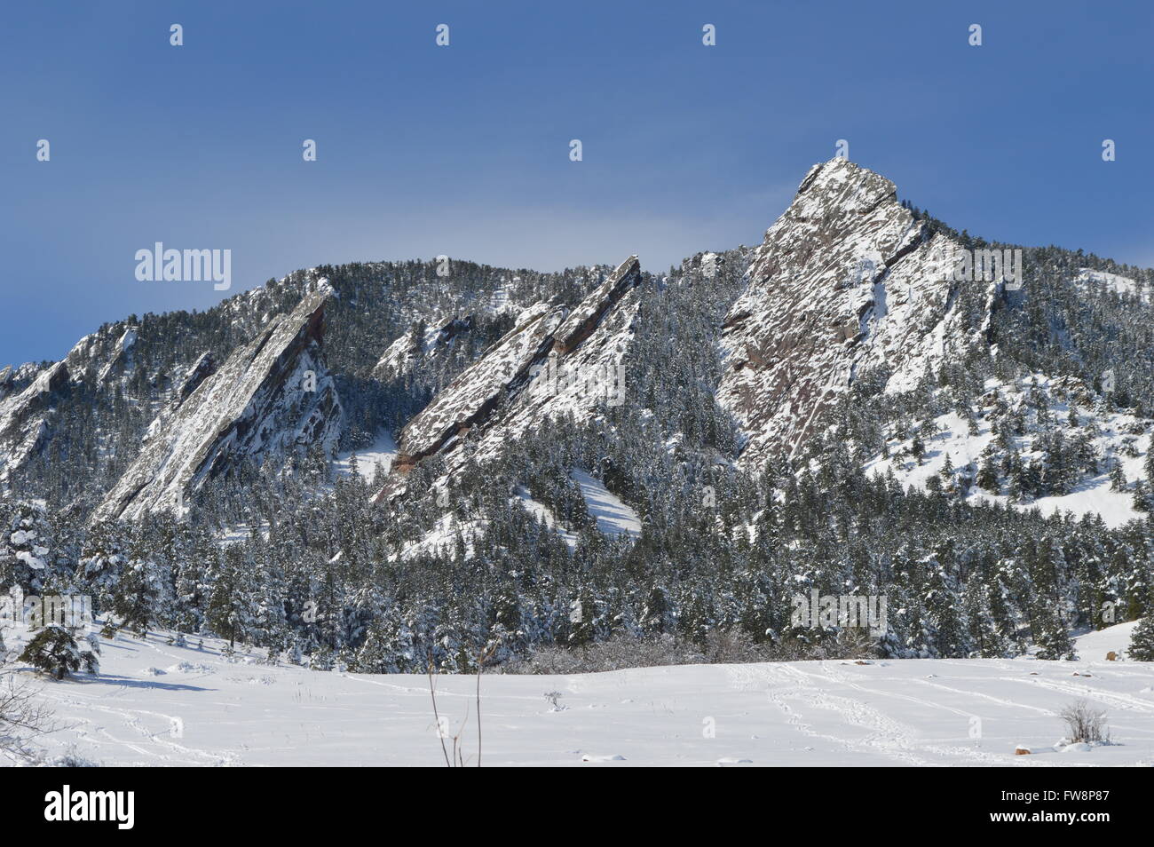 Il Boulder Flatirons coperto di neve di primavera, Chautauqua Park, Boulder, Colorado. Foto Stock