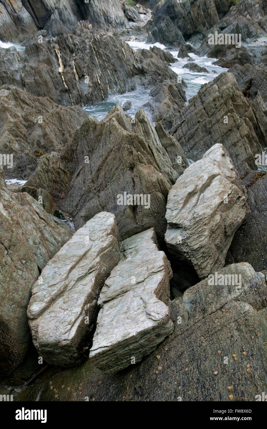 Lastre di ardesia come rock su una spiaggia sul North Devon Coast nel Regno Unito. La roccia sembra che brilla nel grigio opaco luce ed è stato sollevato nel corso di milioni di anni fa in modo che la strat è quasi verticale anzichè orizzontale come sarebbe stato quando la roccia è stata formata. Foto Stock