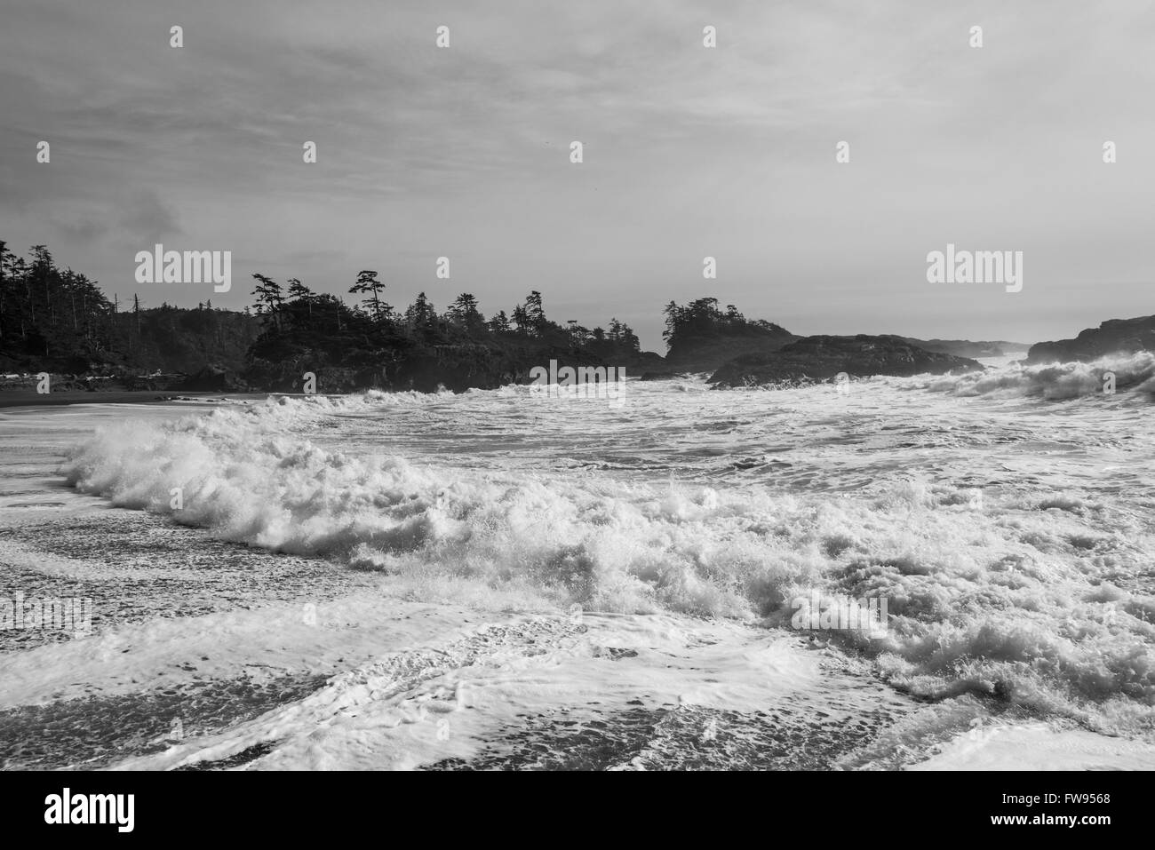 Seafoam sulla spiaggia, Pacific Rim National Park Riserva, Tofino, Isola di Vancouver, British Columbia, Canada Foto Stock