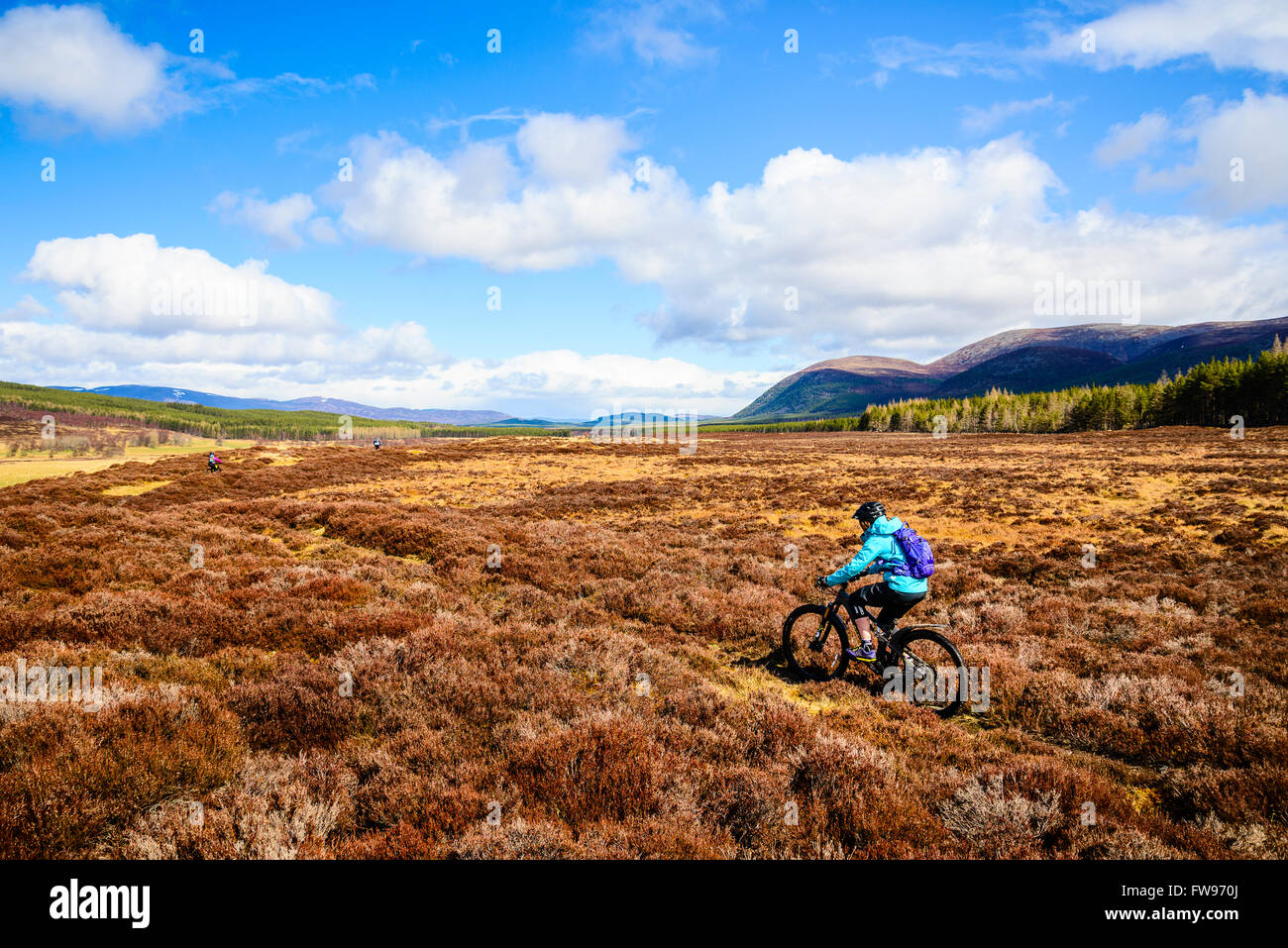 Gli amanti della mountain bike su singletrack facile in Glen Feshie Cairngorms National Park Highland Scozia Scotland Foto Stock