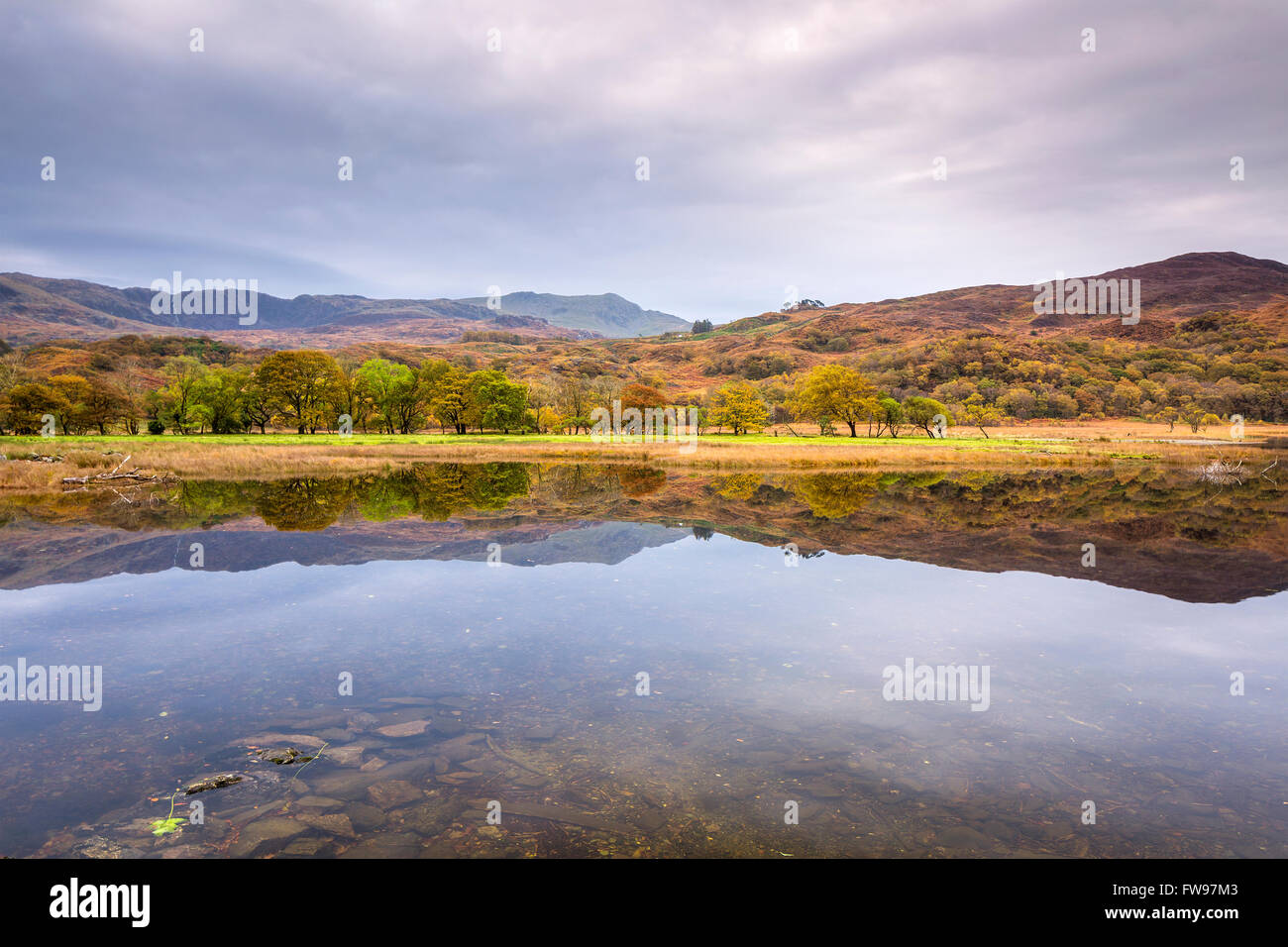 Llyn Dinas, Parco Nazionale di Snowdonia, Gwynedd, Wales, Regno Unito, Europa. Foto Stock