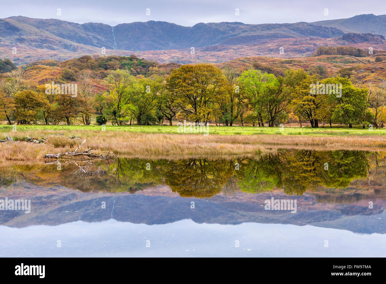 Llyn Dinas, Parco Nazionale di Snowdonia, Gwynedd, Wales, Regno Unito, Europa. Foto Stock
