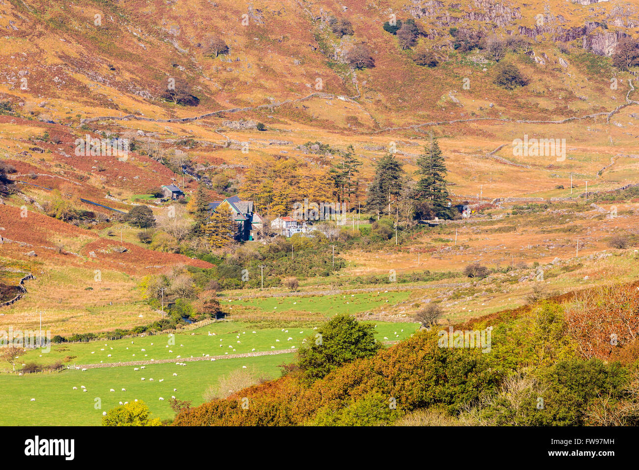 Nant Gwynant Valley, il Parco Nazionale di Snowdonia, Gwynedd, Wales, Regno Unito, Europa. Foto Stock