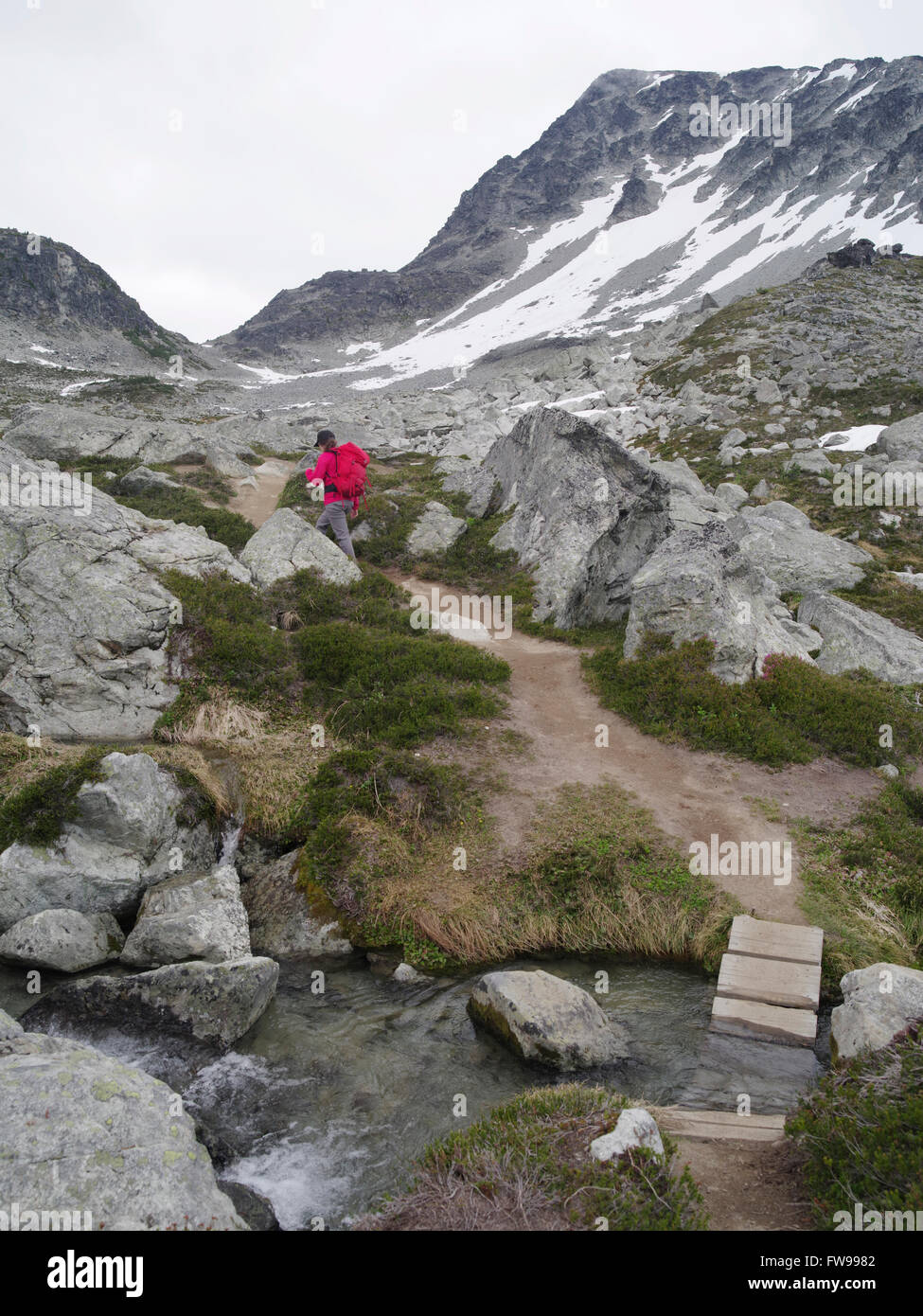 Giovane donna caucasica escursionismo su Whistler Blackcomb sentiero alpino in estate Foto Stock