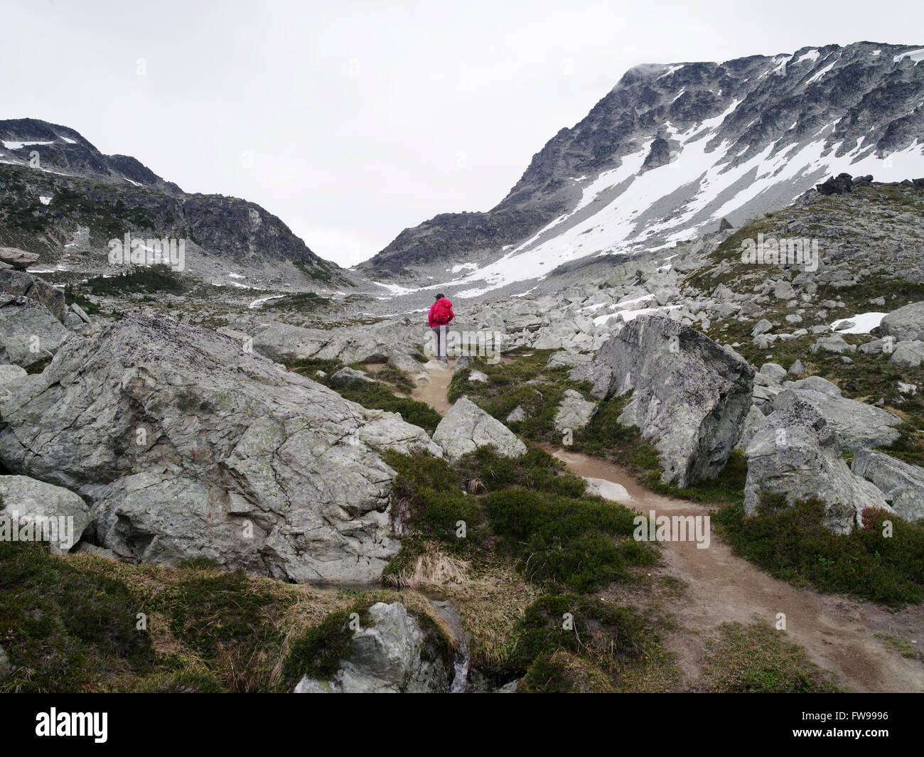 Giovane donna caucasica escursionismo su Whistler Blackcomb sentiero alpino in estate Foto Stock