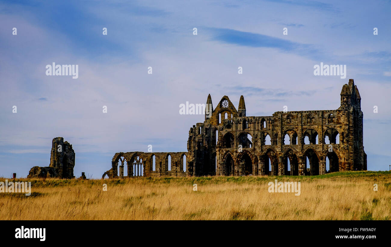 Whitby Abbey - una rovina abbazia benedettina che si affaccia sul Mare del Nord sulla East Cliff al di sopra di Whitby nel North Yorkshire, Inghilterra. Foto Stock