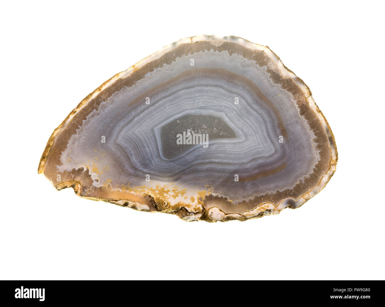 Fetta di agata opache, una varietà di quarzo di biossido di silicio, SiO2, Foto Stock