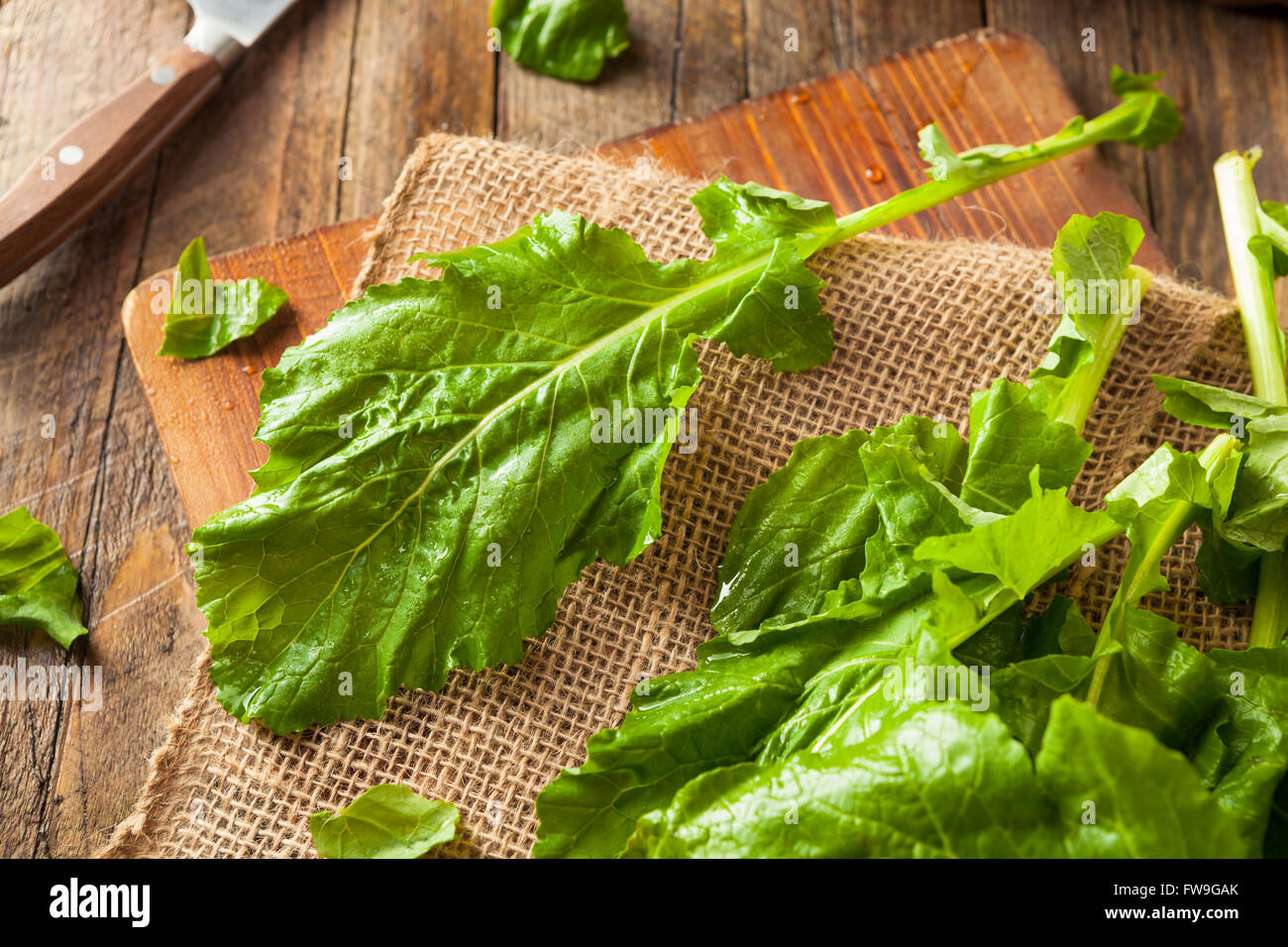 Materie organiche le cime di rapa pronto a mangiare Foto Stock