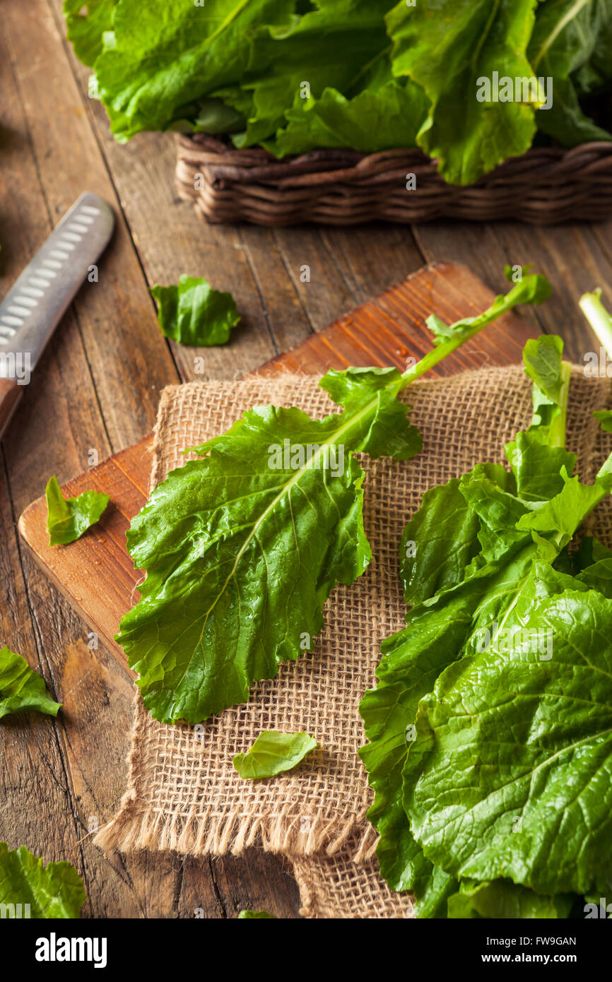 Materie organiche le cime di rapa pronto a mangiare Foto Stock
