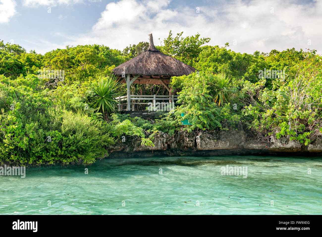 La linea di costa e verdeggiante vegetazione dell'isolotto di Ile aux egrette off costa sud est di Mauritius. Foto Stock