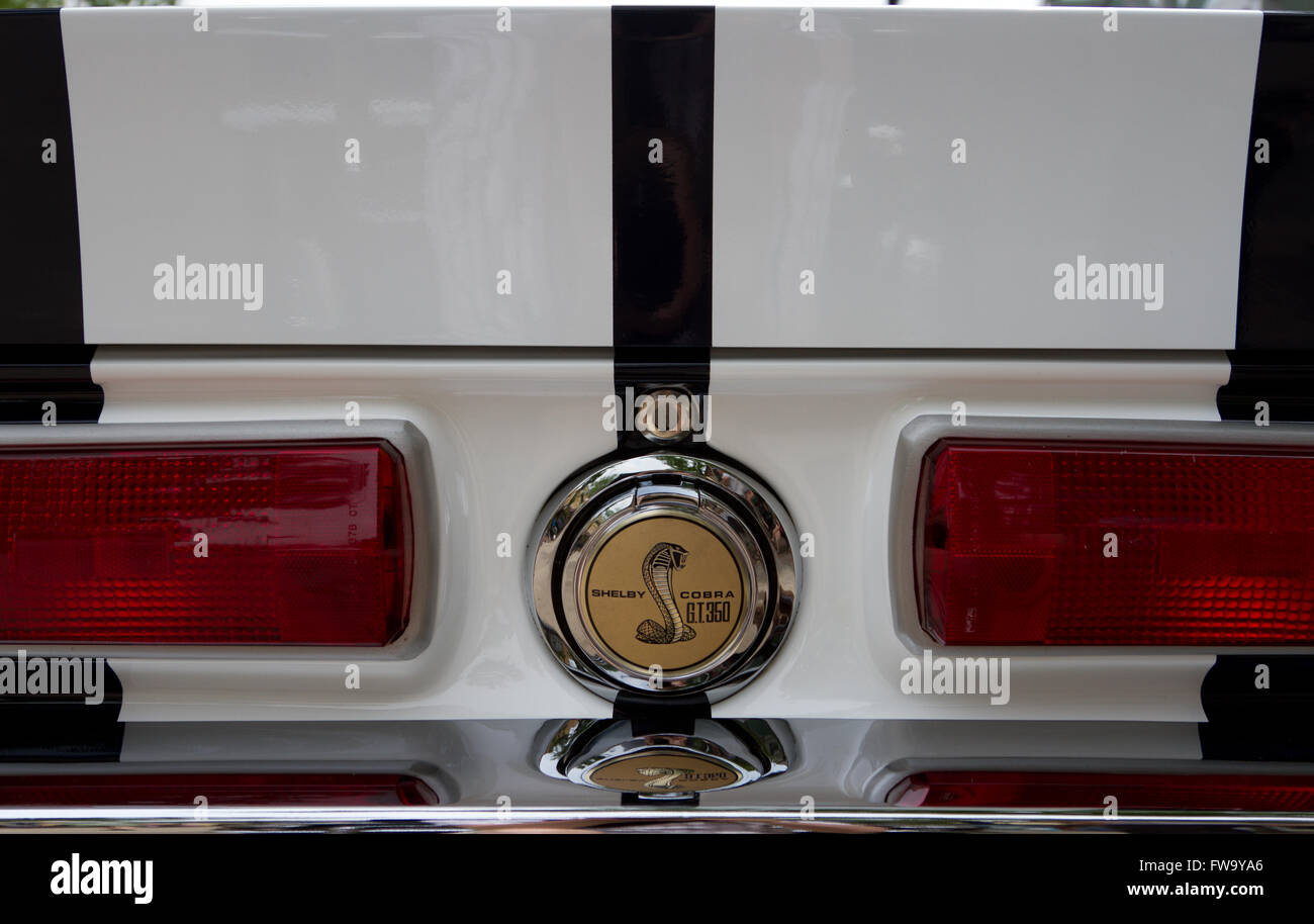 Vista posteriore di una Ford Mustang Shelby Cobra GT350. Foto Stock
