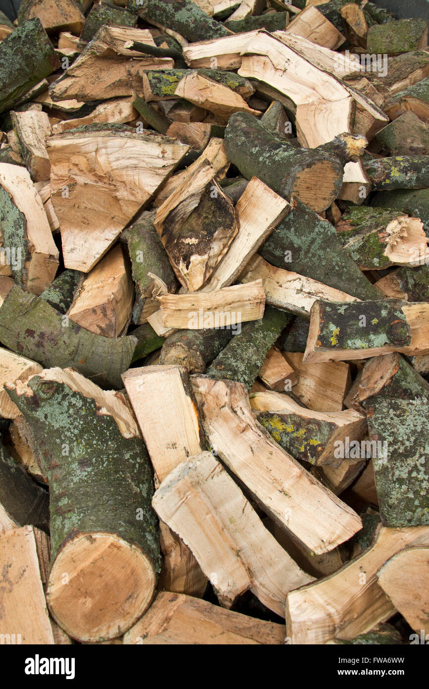 I registri per legna da ardere Foto Stock
