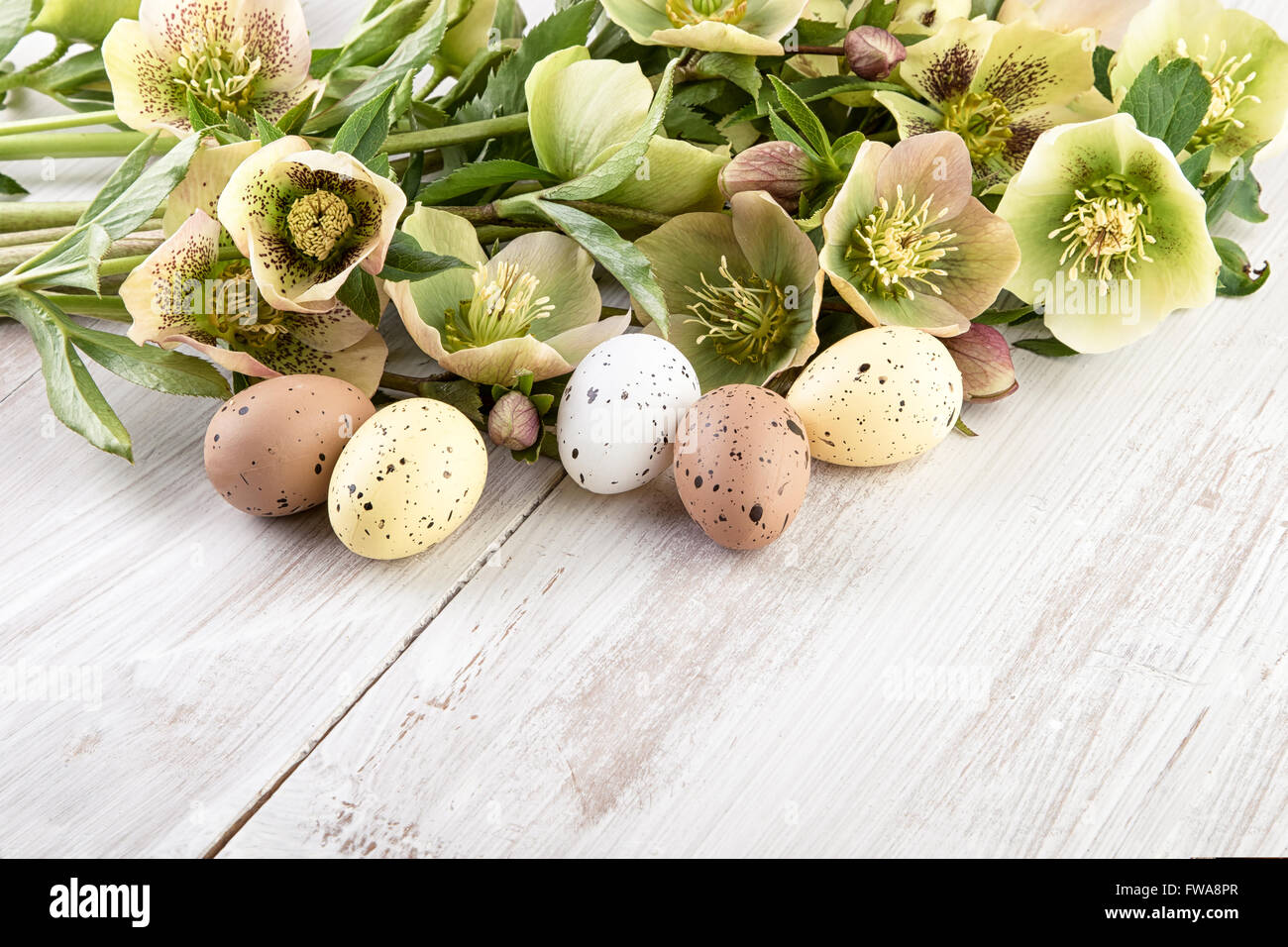 Le uova di pasqua decorazioni color pastello Foto Stock