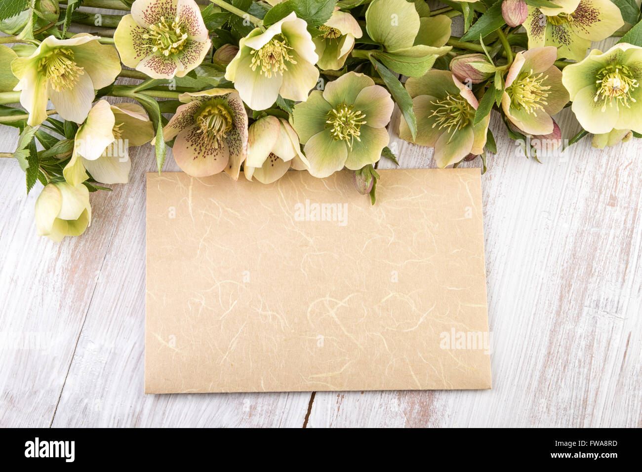 Fiori di Primavera su legno chiaro con foglio di carta Foto Stock