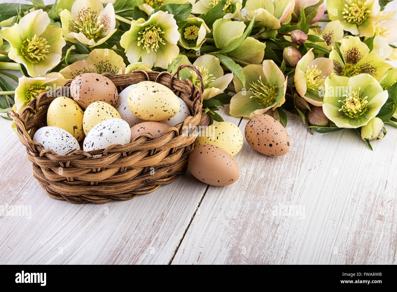 Decorazione di pasqua cesto con le uova di Pasqua di colori pastello Foto Stock