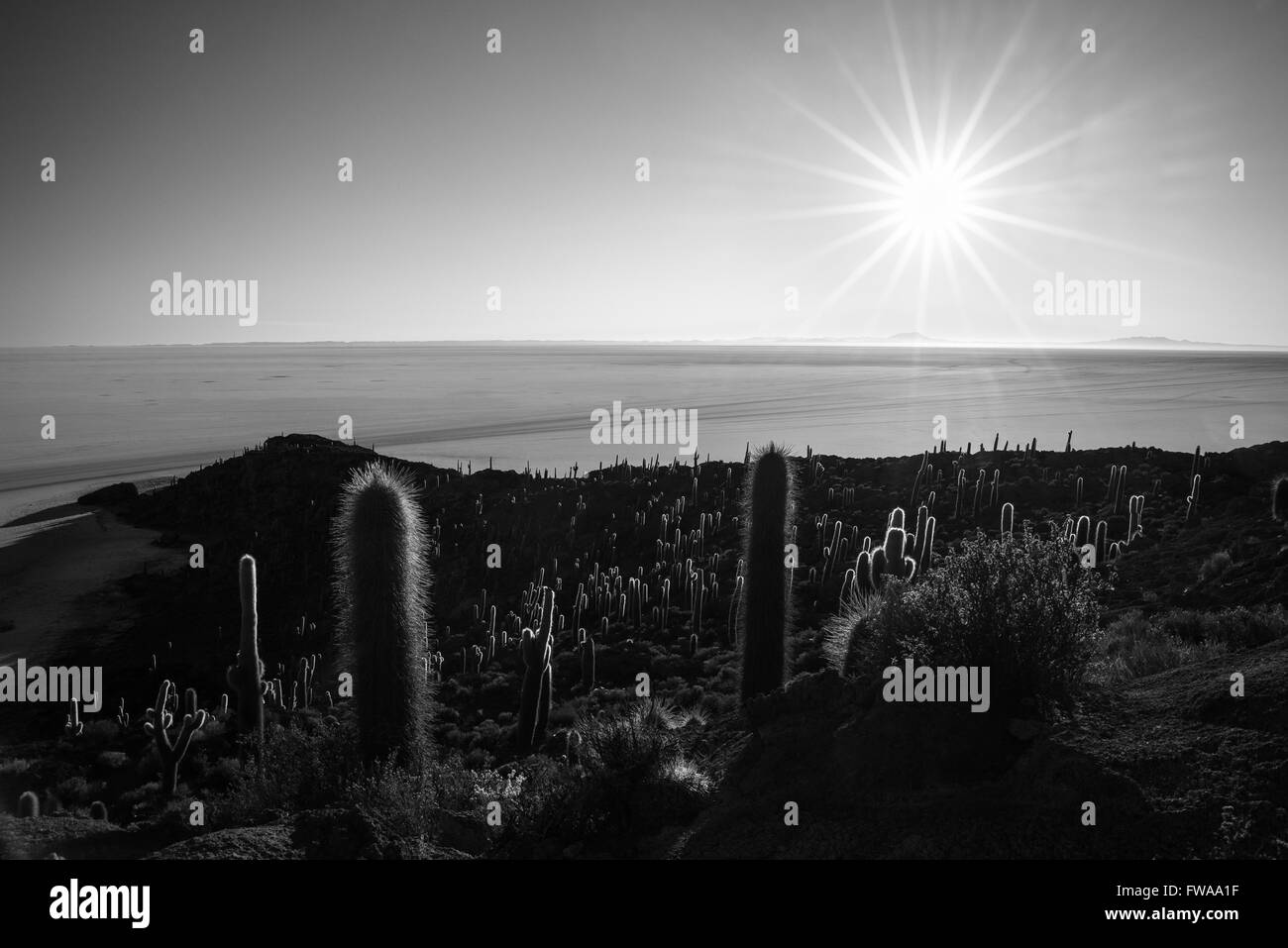 Il sun star all'orizzonte oltre le maestose sale di Uyuni piatto, tra le più importanti destinazioni di viaggio in Bolivia. Ampia angl Foto Stock