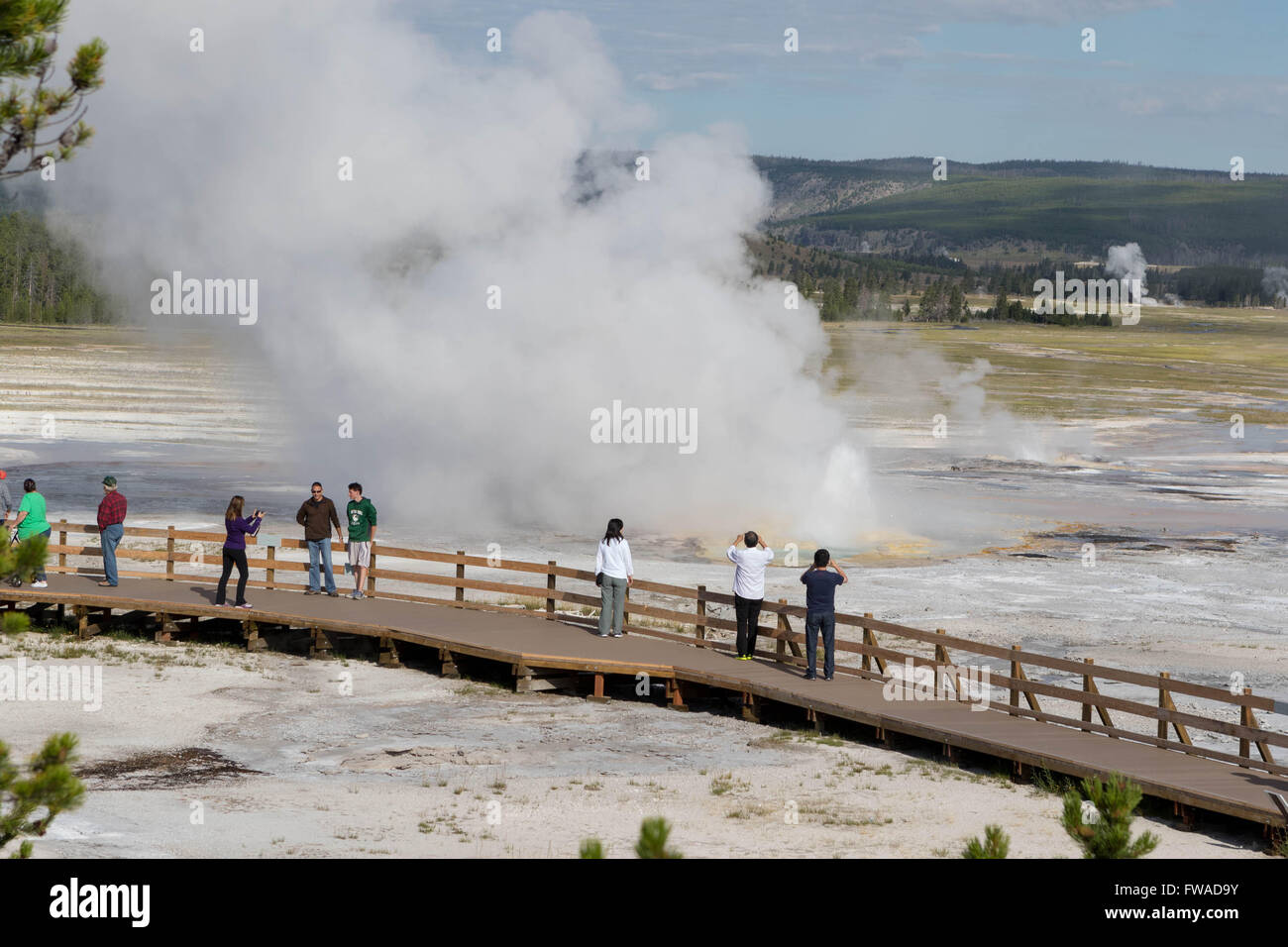 Abbassare Geyser Basin nel Parco Nazionale di Yellowstone Foto Stock