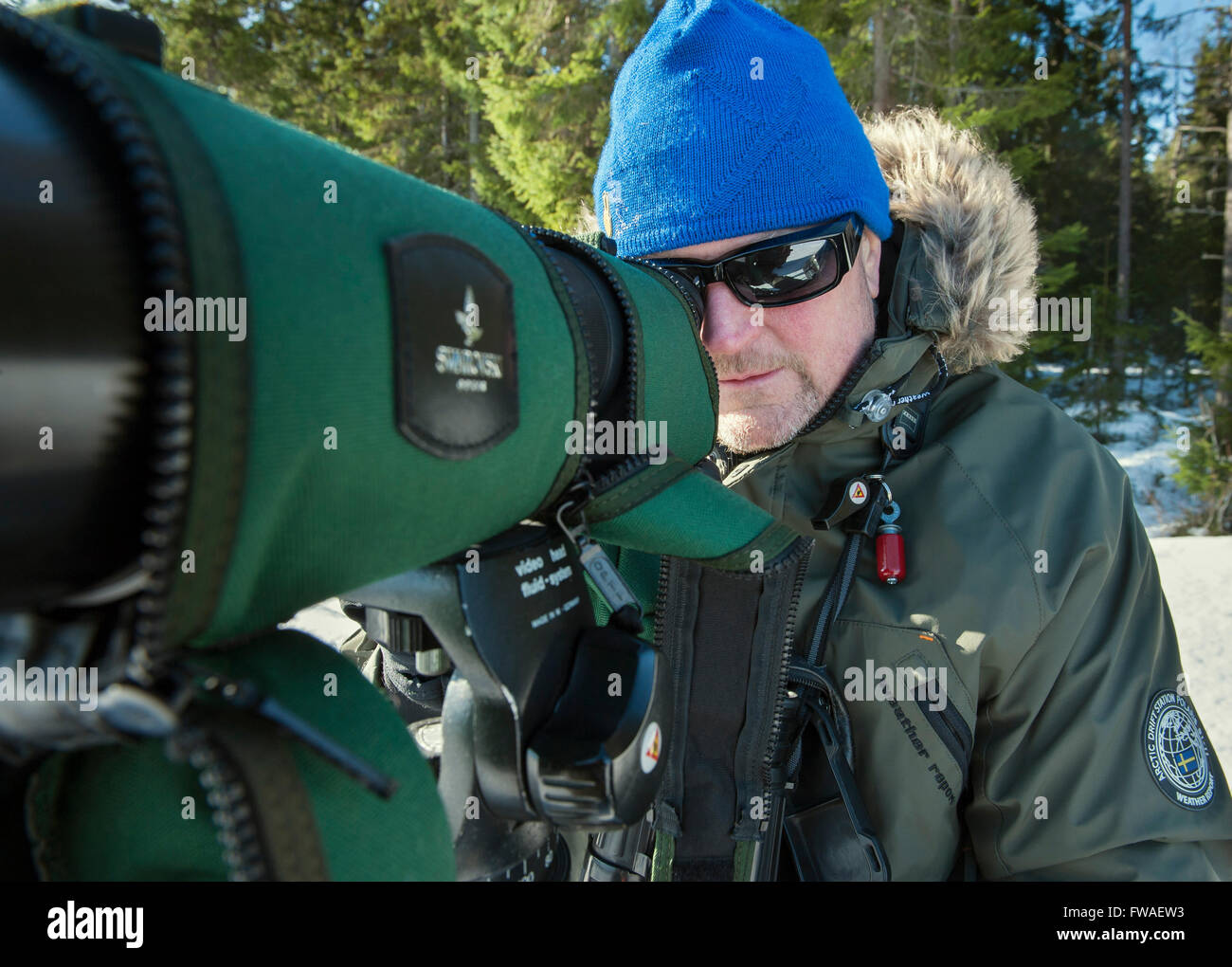 Bird-watcher con telescopio Foto Stock