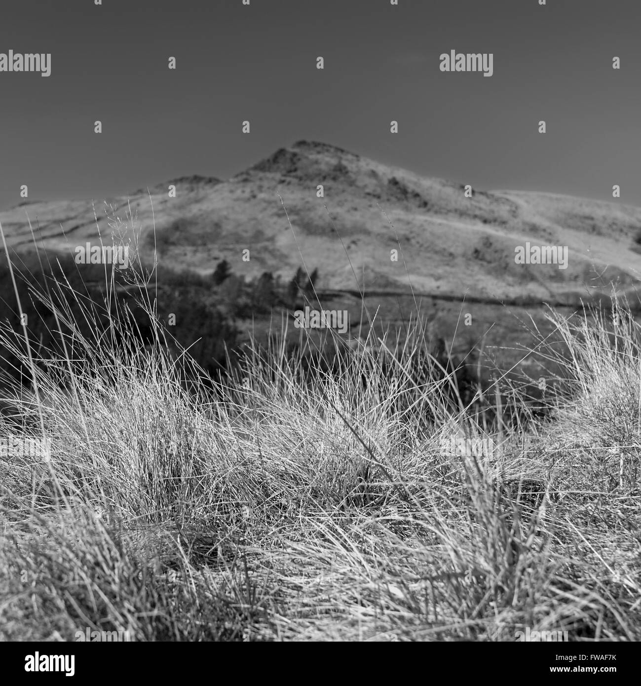 Alderman's Brow attraverso Chew Valley da Ashway Gap, Dovestone serbatoio, Greenfield. Foto Stock