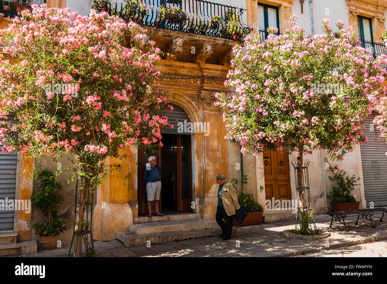 Strada colorato con alberi in fiore. Via Francesco Mormino Penna. Scicli. Ragusa, Sicilia, Italia Foto Stock