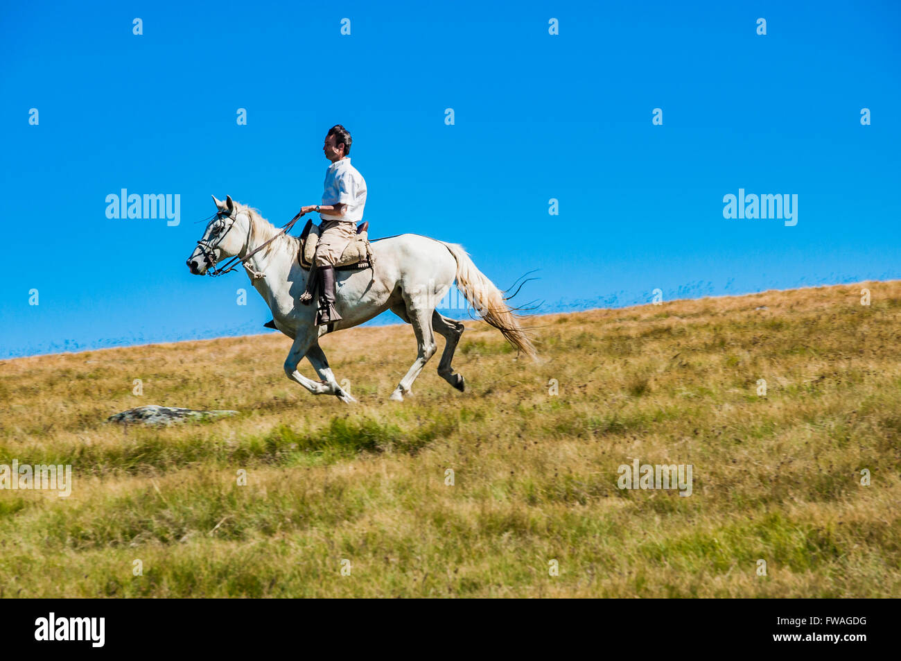 Escursione a cavallo. Gredos, Hoyos del Espino, Ávila, Castilla y León. Spagna, Europa Foto Stock