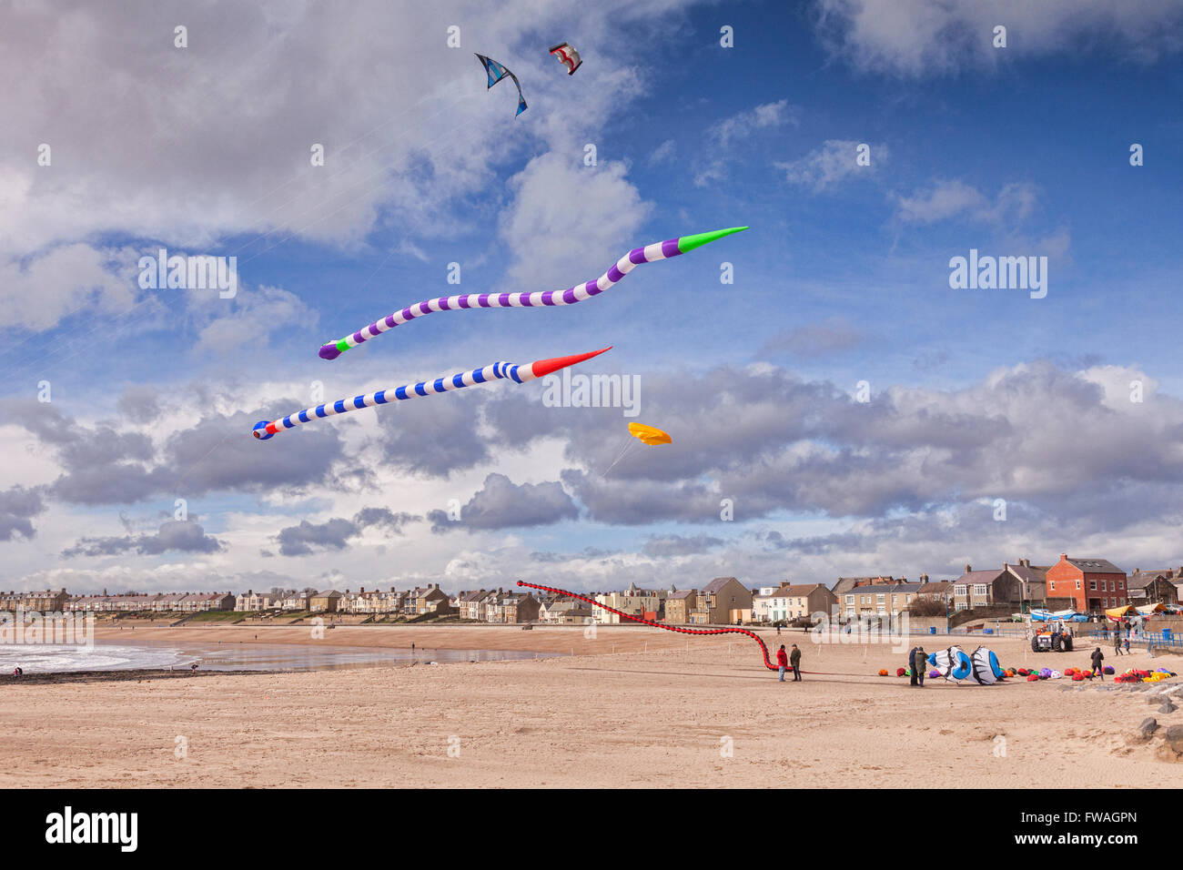 Volare aquiloni gonfiabili a Newbiggin dal mare, Northumberland, England, Regno Unito Foto Stock