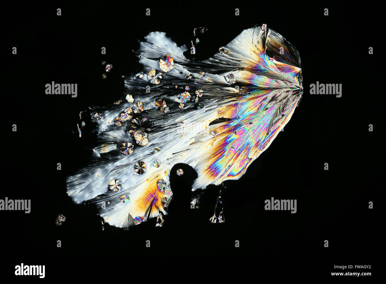 La vitamina C è cristallizzato Foto Stock