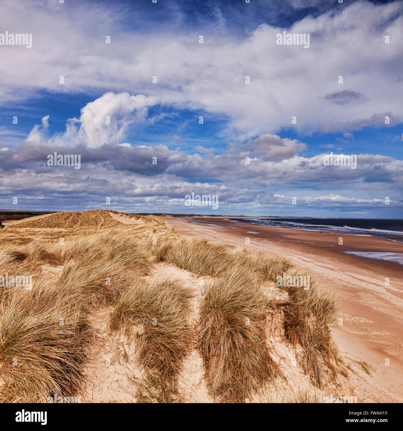 Le dune a Druridge Bay, Northumberland, England, Regno Unito Foto Stock