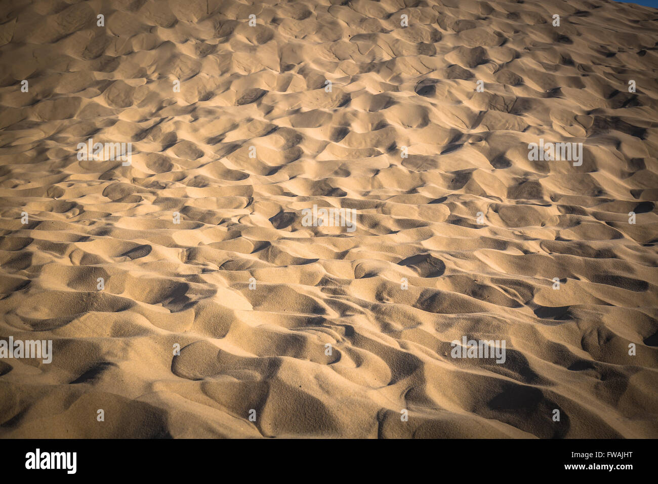 Dune du Pyla - la più grande duna di sabbia in Europa, Aquitaine, Francia Foto Stock