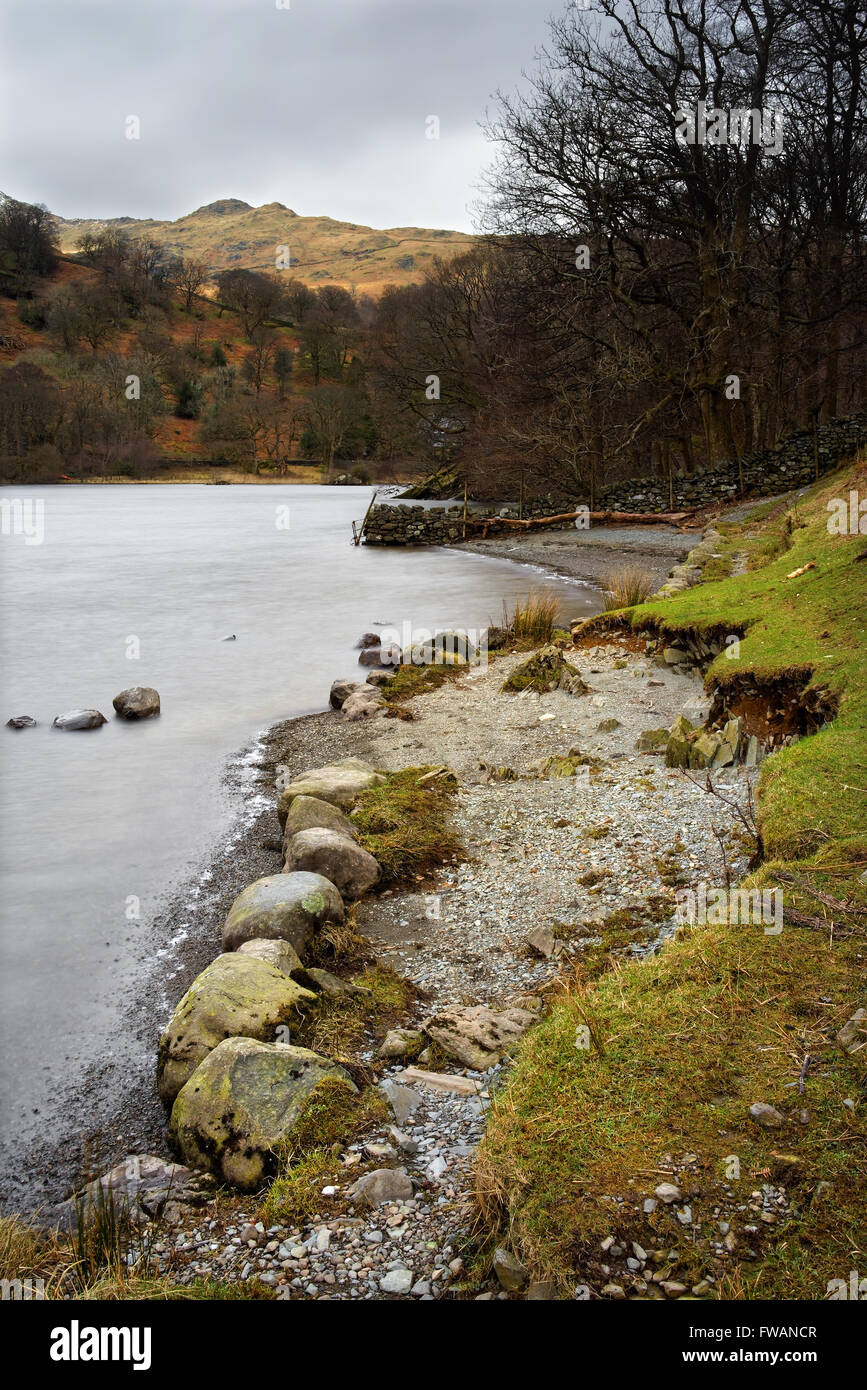 Regno Unito,Cumbria,Lake District,Rydal acqua Foto Stock