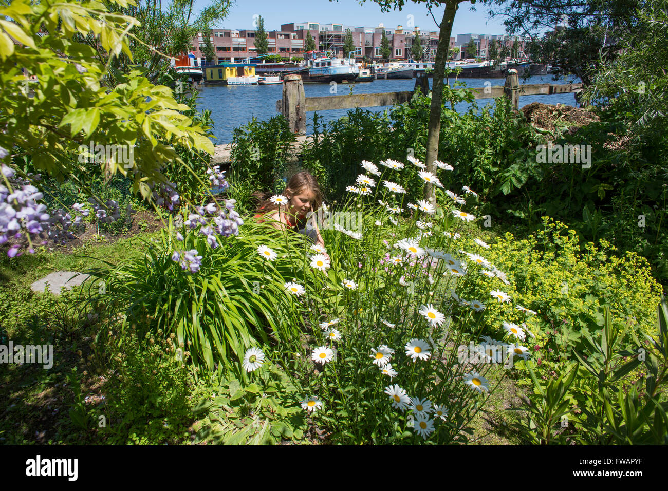 Giardino in canali olandesi Foto Stock