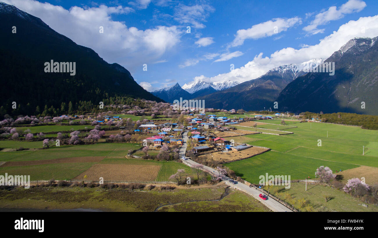 Bomi. 1 apr, 2016. Foto scattata il 1 aprile 2016 mostra il paesaggio di primavera nella Contea Bomi, a sud-ovest della Cina di regione autonoma del Tibet. © Purbu Zhaxi/Xinhua/Alamy Live News Foto Stock