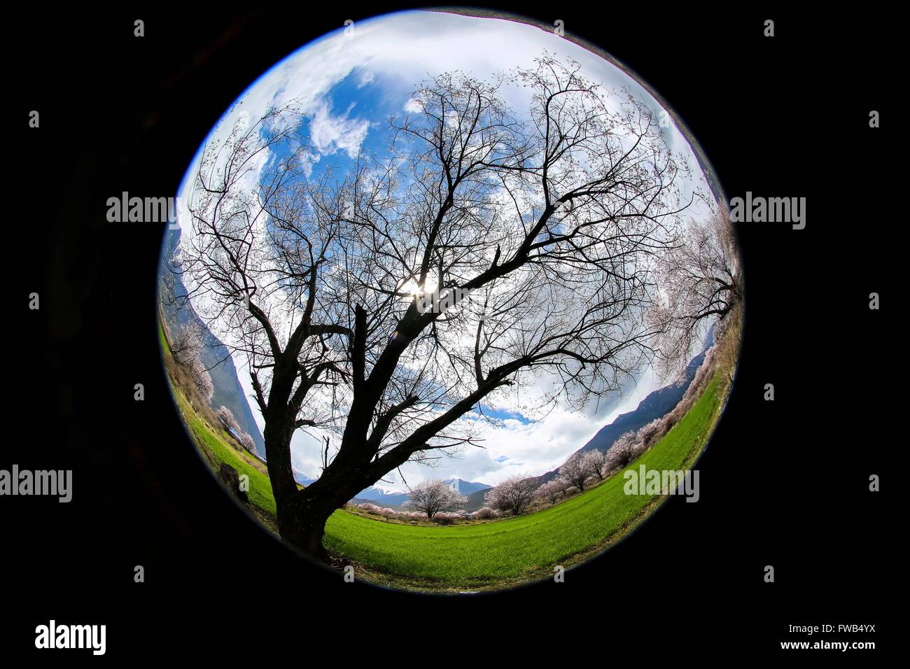 Bomi. 1 apr, 2016. Foto scattata il 1 aprile 2016 mostra il paesaggio di primavera nella Contea Bomi, a sud-ovest della Cina di regione autonoma del Tibet. © Purbu Zhaxi/Xinhua/Alamy Live News Foto Stock