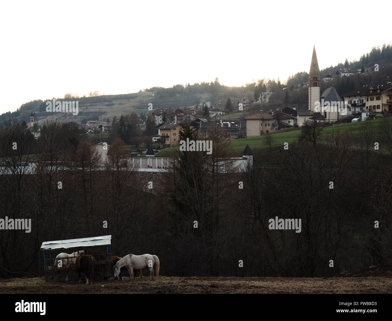 Vista di Varena, Trentino Alto Adige Foto Stock