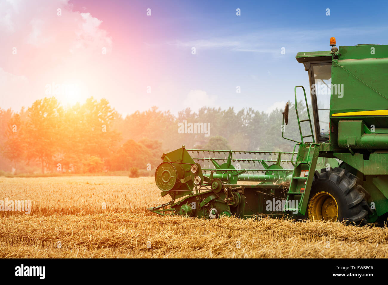 Mietitrebbia il raccolto di grano maturo su una fattoria Foto Stock