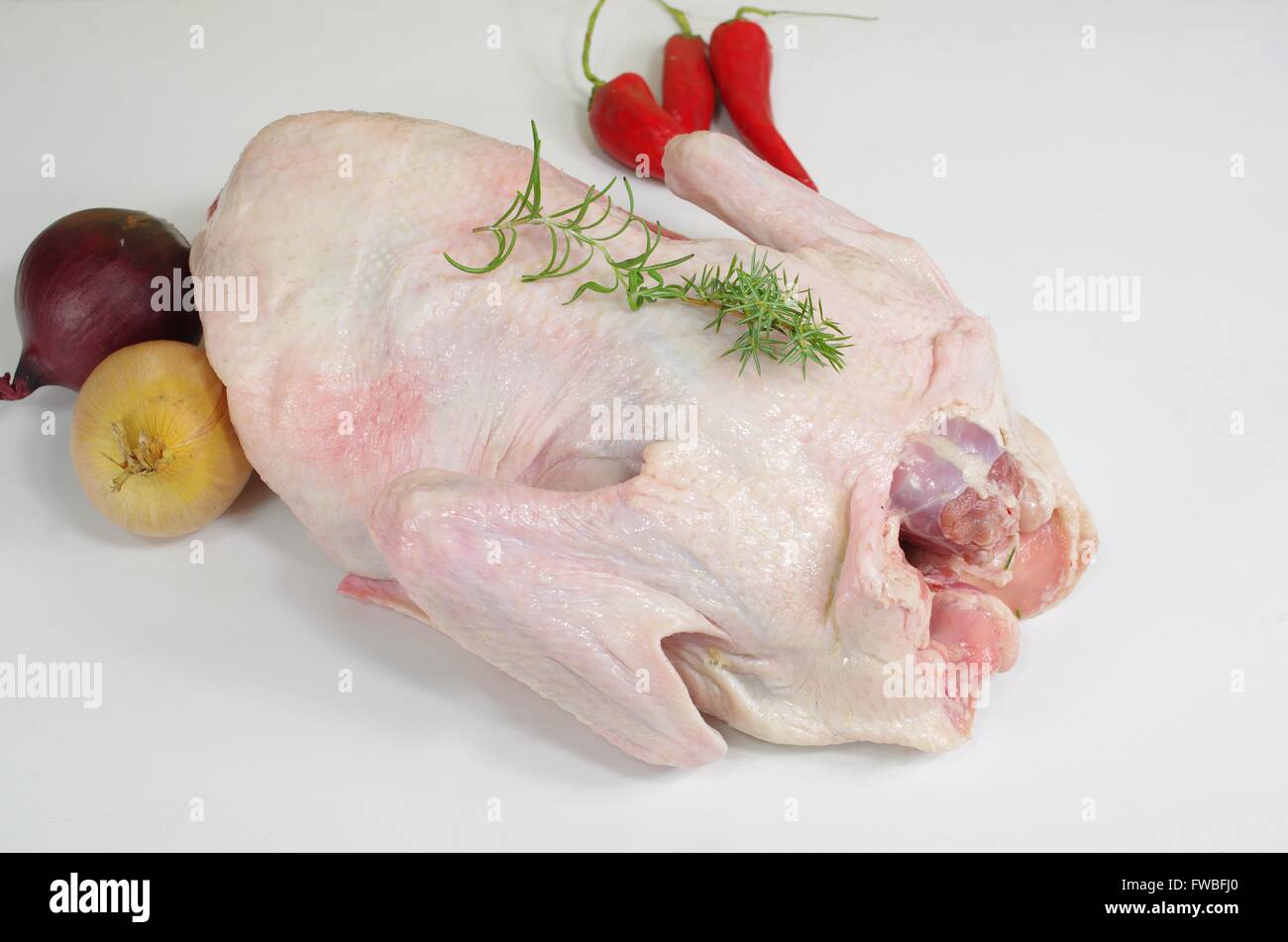 Materie di anatra con basilico e bacche di ginepro Foto Stock