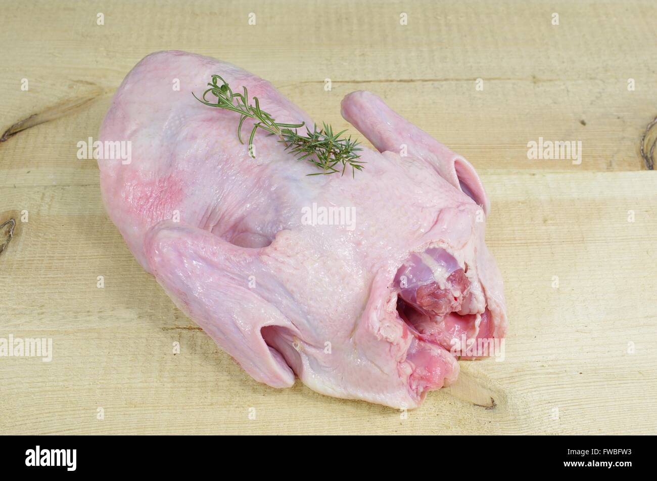 Materie anatra sul pannello di legno Foto Stock