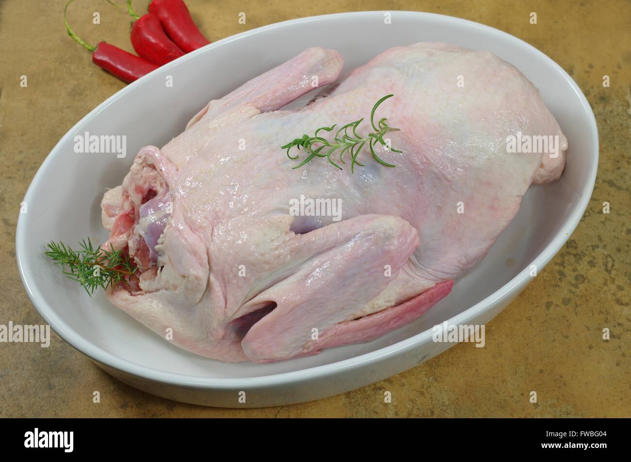 Materie di anatra con juniper nel piatto Foto Stock