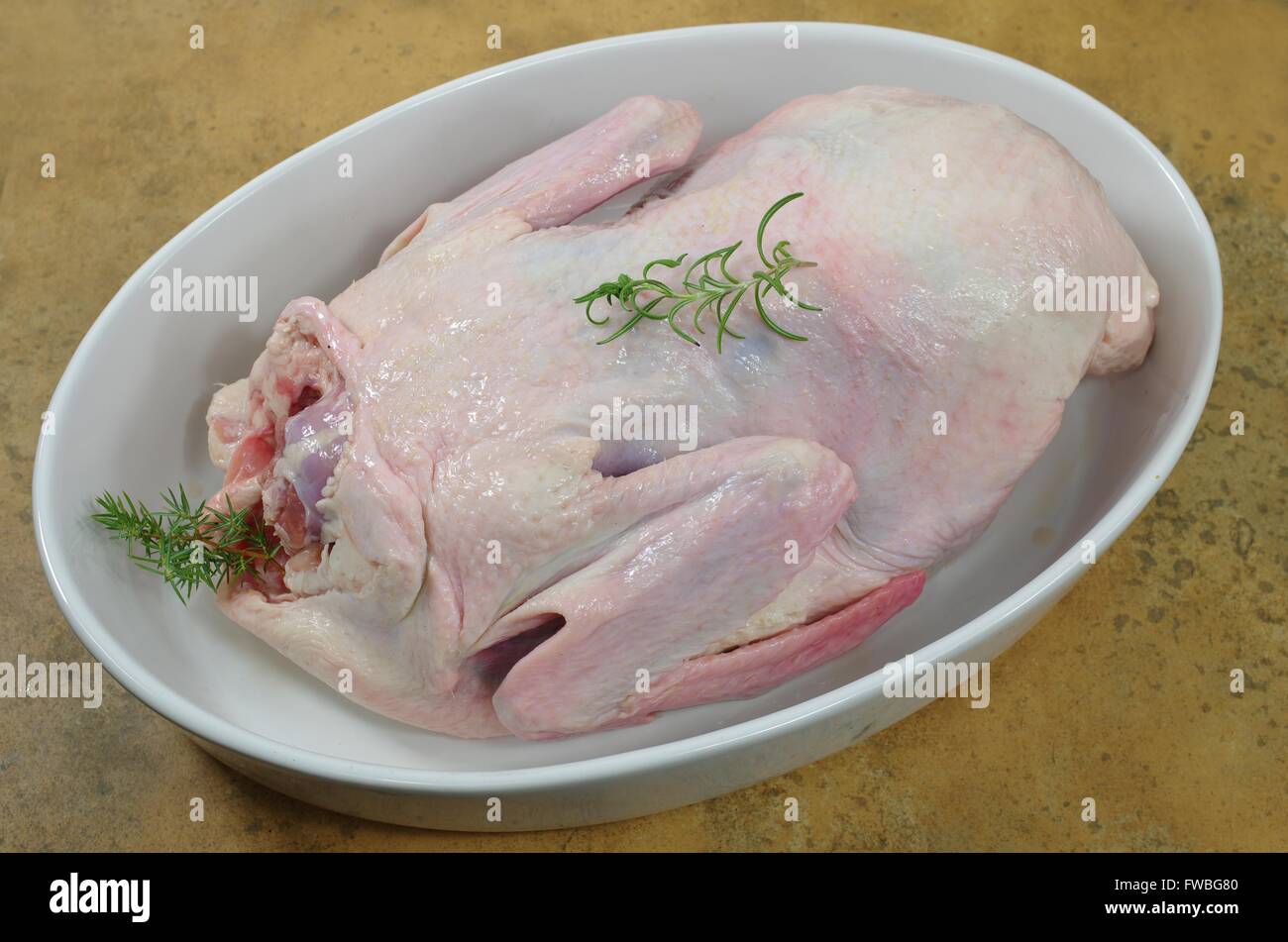 Materie di anatra con juniper nel piatto Foto Stock