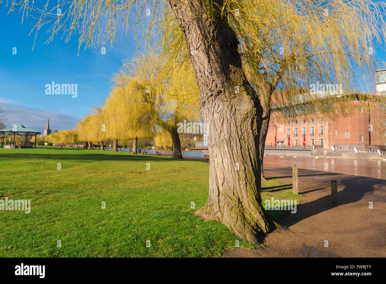 Stratford Upon Avon Park, vista degli alberi salici lungo il percorso lungo il fiume a Stratford Upon Avon, Inghilterra, Regno Unito Foto Stock