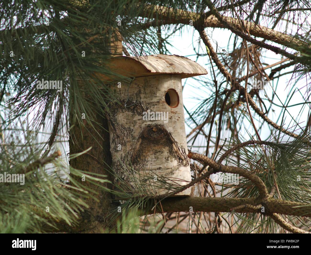 Scatola in legno bird su sfondo bianco Foto Stock