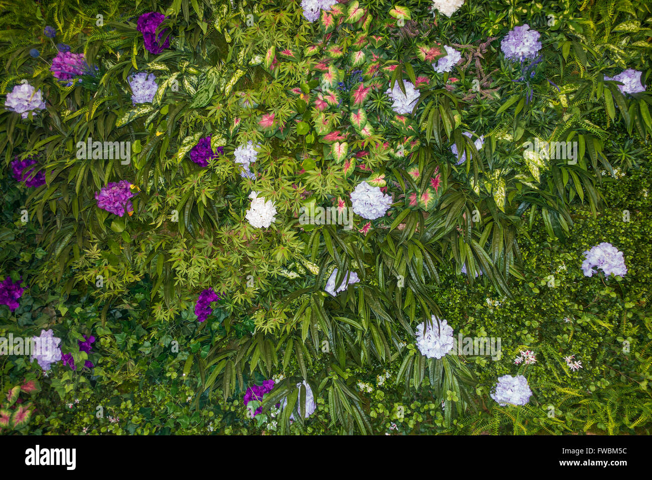 Artificiale giardino verticale. Tutti gli impianti sono Uomo made in questo display. Foto Stock