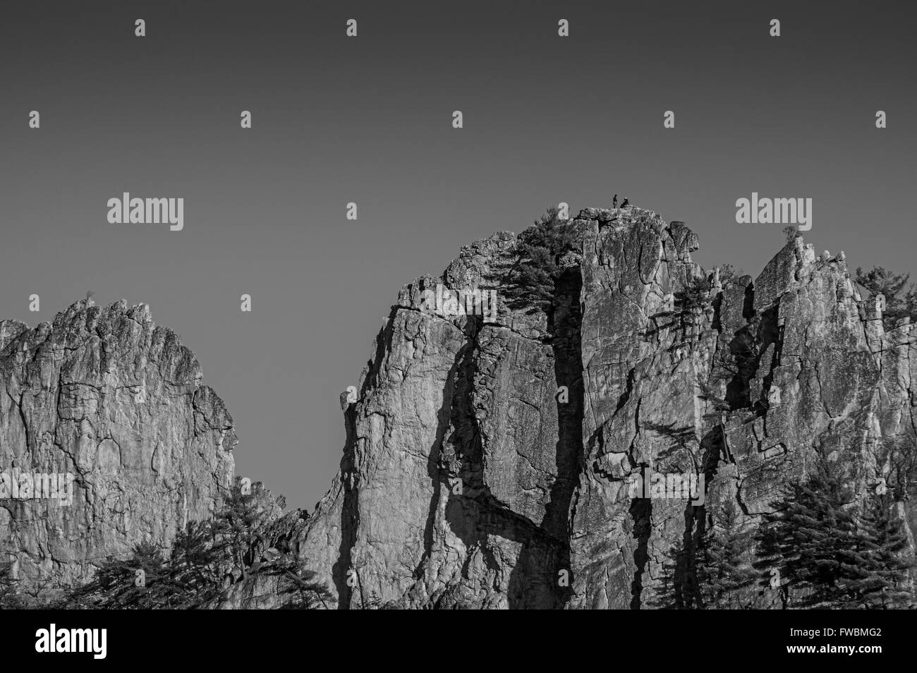 Arrampicatori prendendo una pausa sulla cima di una delle balze di Seneca Rocks in West Virginia, mostrato in bianco e nero Foto Stock Arrampicatori prendendo una pausa sulla cima di una delle balze di Seneca Rocks in West Virginia, mostrato in bianco e nero Foto Stock