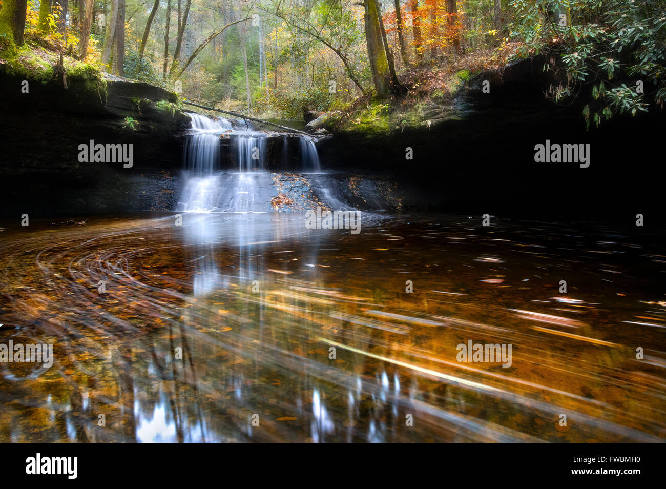 Una valle, livello acqua vista delle cascate entro una vibrante foresta come l'acqua porta lascia giù il flusso Foto Stock
