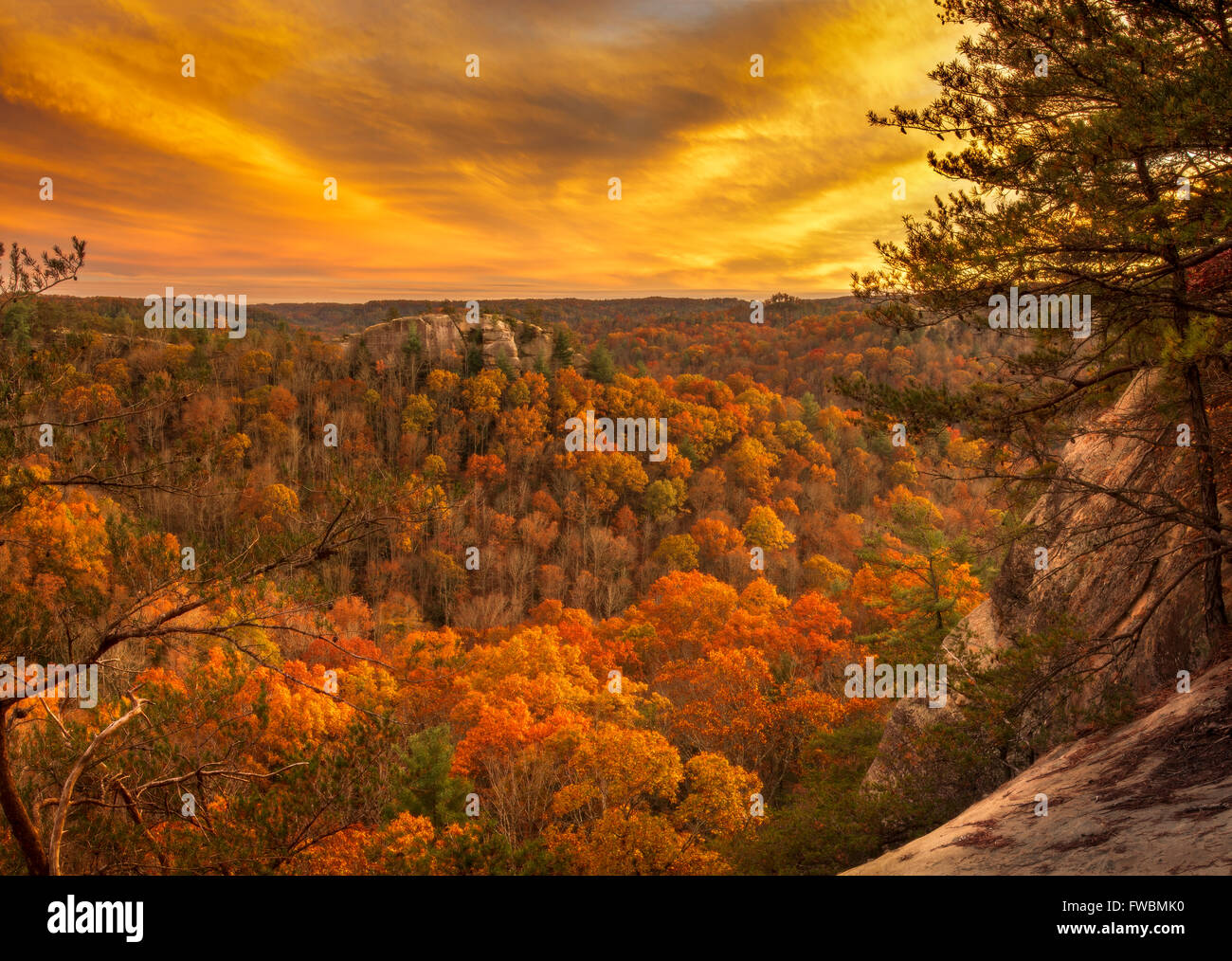 Il cielo e la foresta rispecchiano le altre con le esplosioni di vivaci colori gialli e le arance in un nitido serata autunnale in Kentucky. Foto Stock