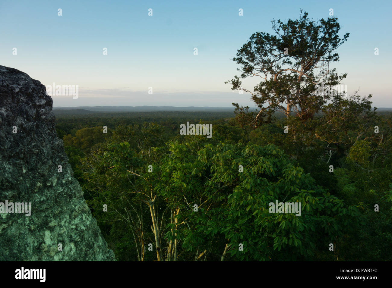 Tramonto sulla sommità del tempio IV, Yaxha rovine Maya in Guatemala Foto Stock