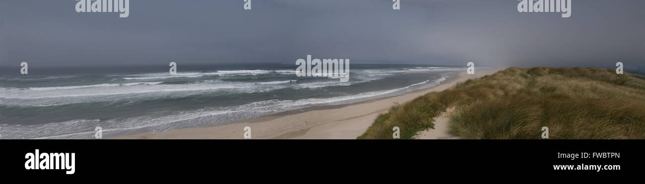 Panorama della spiaggia, erba e dune sulla costa dell'Oregon. Foto Stock