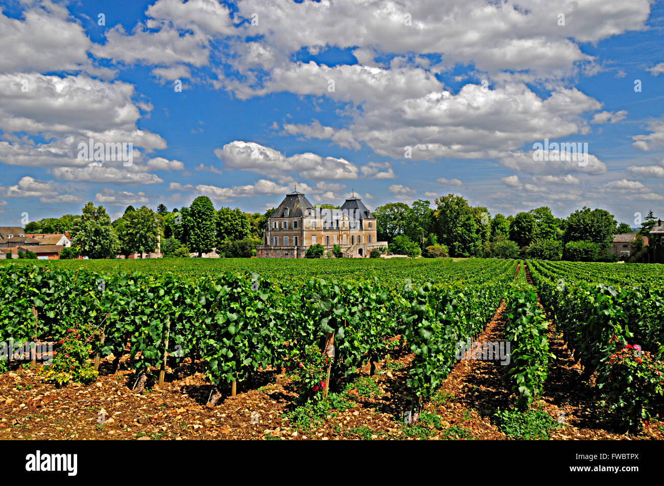 Vigneto e Chateau in Borgogna Francia sotto un cielo di estate blu. Foto Stock