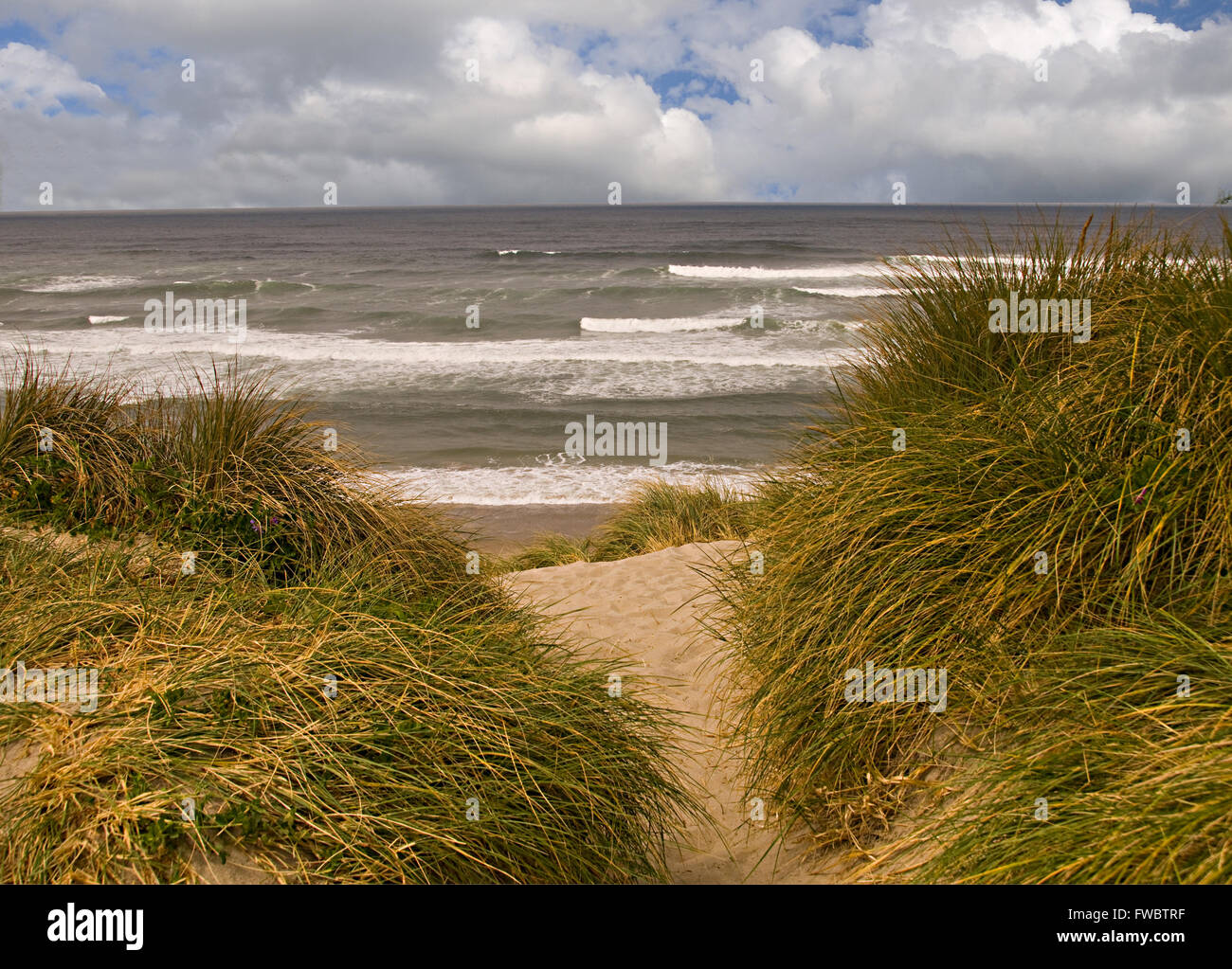 Oregon Coast con sabbia, spiaggia, praterie e surf. Foto Stock